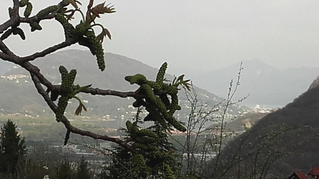 B&B Al Mutpron Casale Corte Cerro ภายนอก รูปภาพ