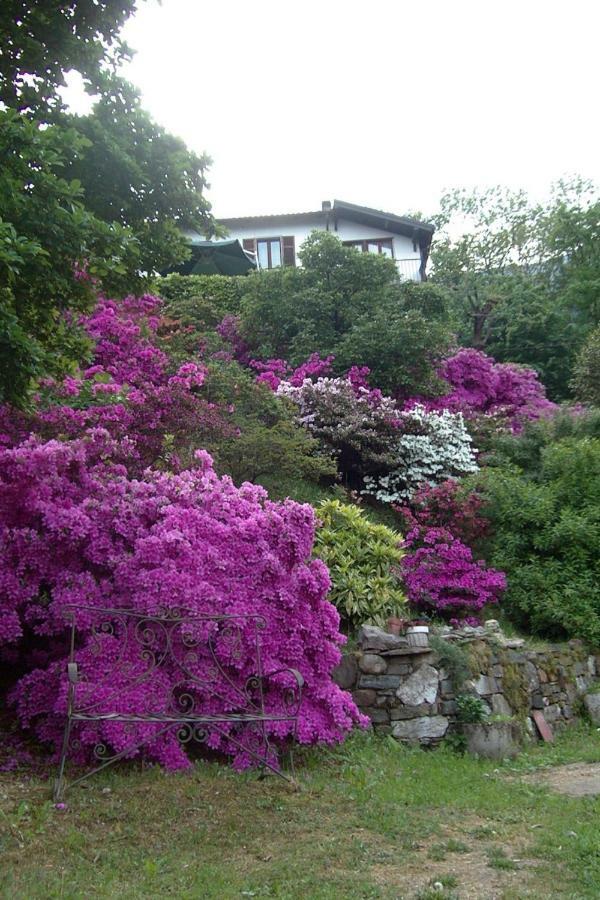 B&B Al Mutpron Casale Corte Cerro ภายนอก รูปภาพ