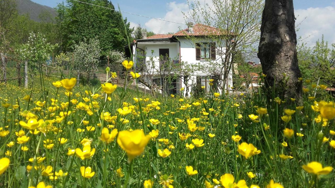 B&B Al Mutpron Casale Corte Cerro ภายนอก รูปภาพ
